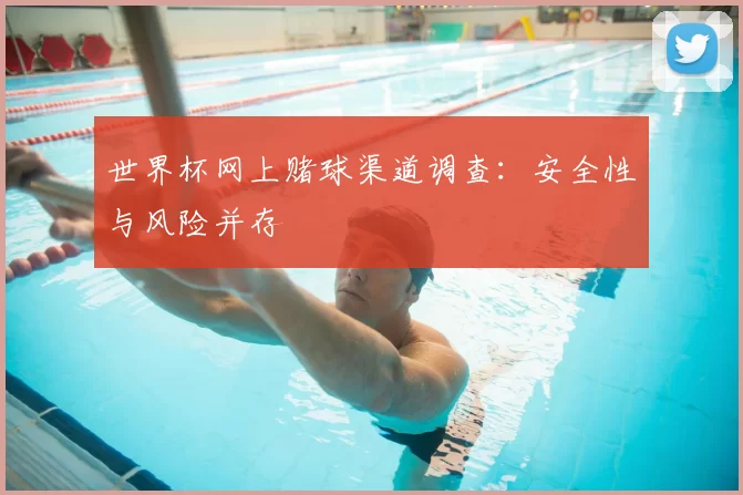 世界杯网上赌球渠道调查:安全性与风险并存