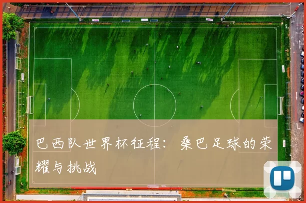 巴西队世界杯征程：桑巴足球的荣耀与挑战