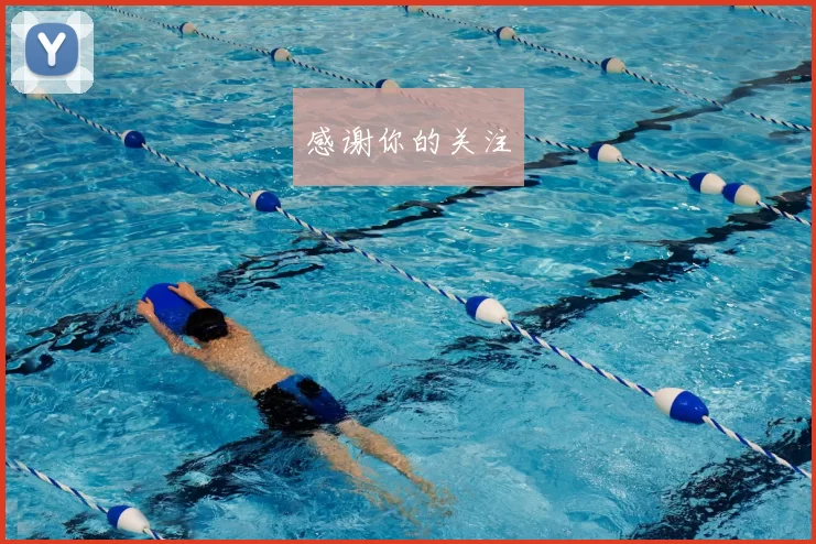 感谢你的关注