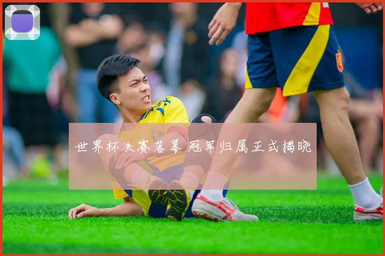 世界杯决赛落幕 冠军归属正式揭晓