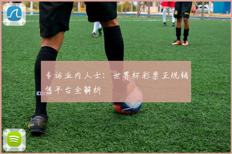 专访业内人士:世界杯彩票正规销售平台全解析
