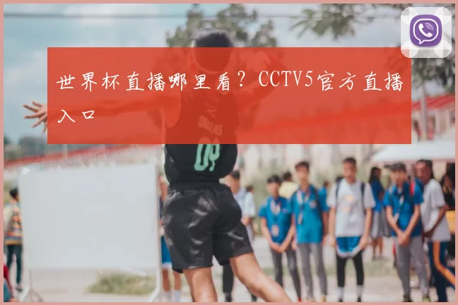 世界杯直播哪里看?CCTV5官方直播入口